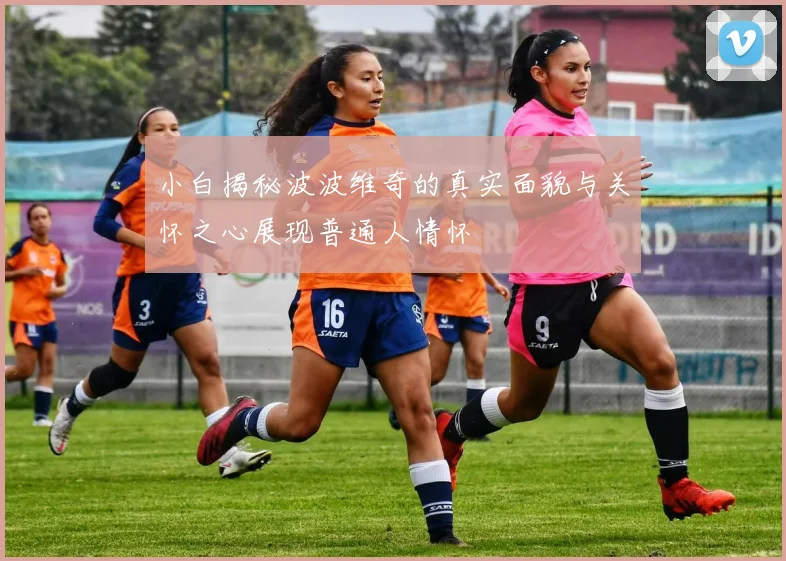 小白揭秘波波维奇的真实面貌与关怀之心展现普通人情怀