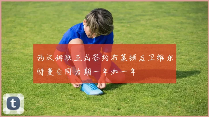 西汉姆联正式签约布莱顿后卫维尔特曼合同为期一年加一年